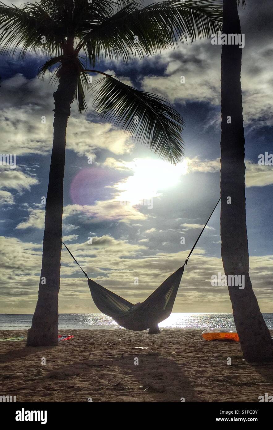 Hammocking Stockfoto