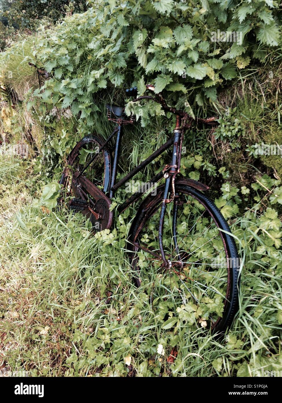 Alten rostigen aufgegeben Fahrrad Stockfoto