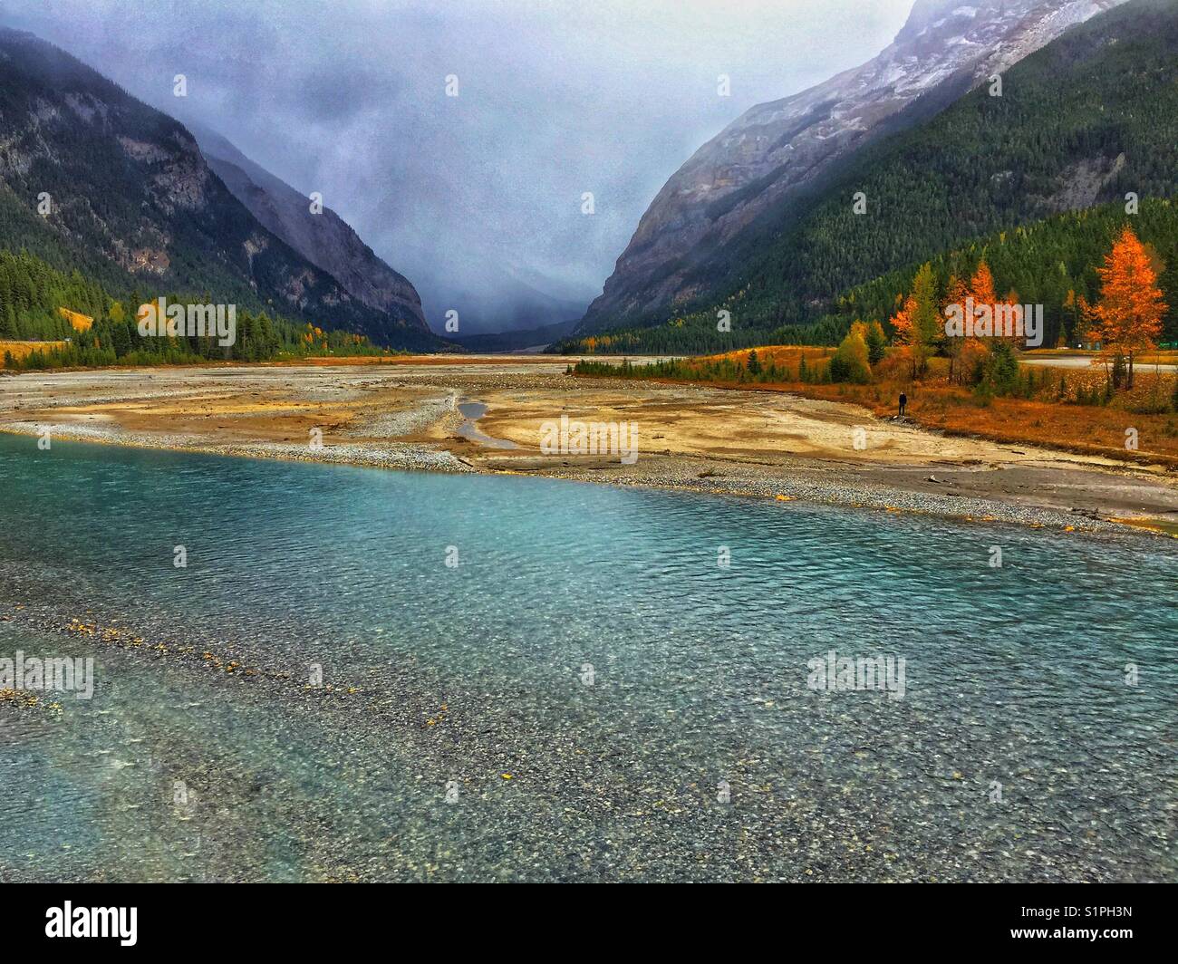 In der Nähe von Feld, British Columbia, herbstliche Farben, und Kicking Horse River - Smartphone-aufgenommenes Stockfoto