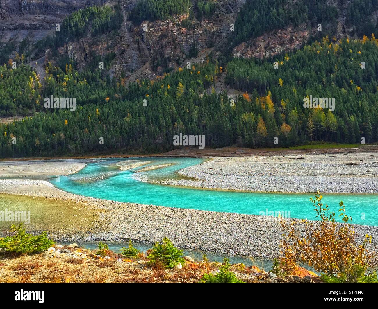 In der Nähe von Feld, British Columbia, herbstliche Farben, und Kicking Horse River - Smartphone-aufgenommenes Stockfoto
