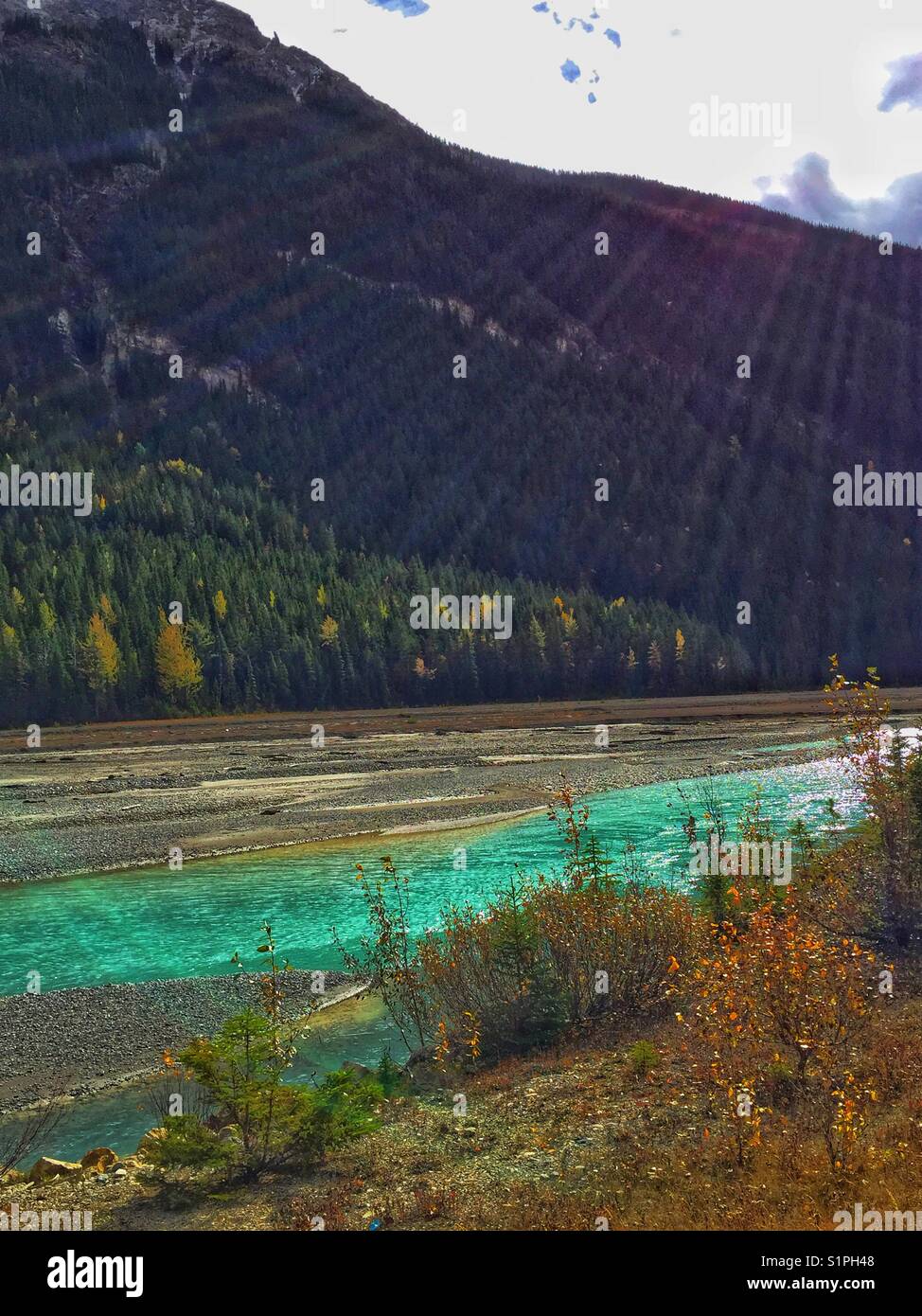 In der Nähe von Feld, British Columbia, herbstliche Farben, und Kicking Horse River - Smartphone-aufgenommenes Stockfoto