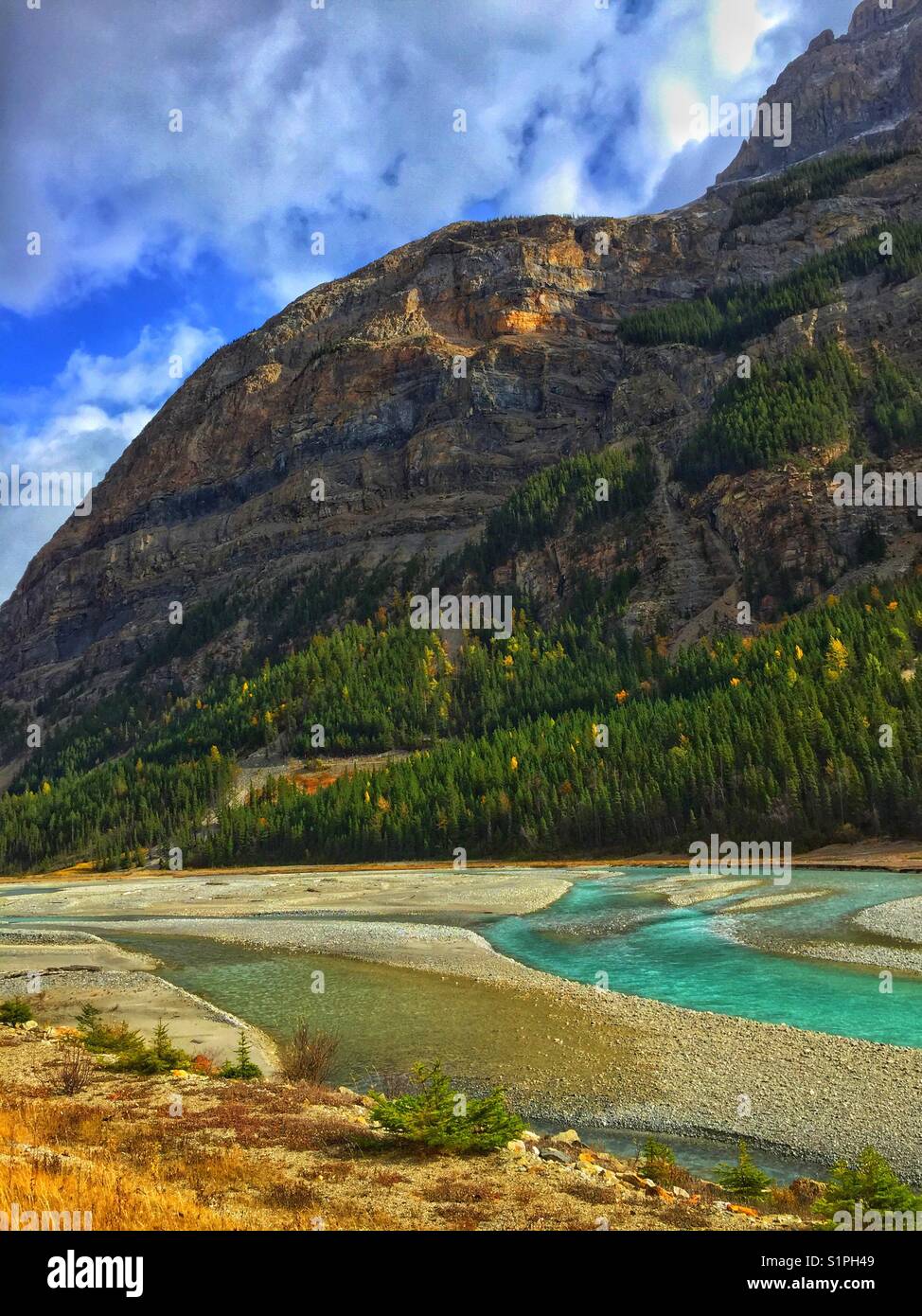 In der Nähe von Feld, British Columbia, herbstliche Farben, und Kicking Horse River - Smartphone-aufgenommenes Stockfoto