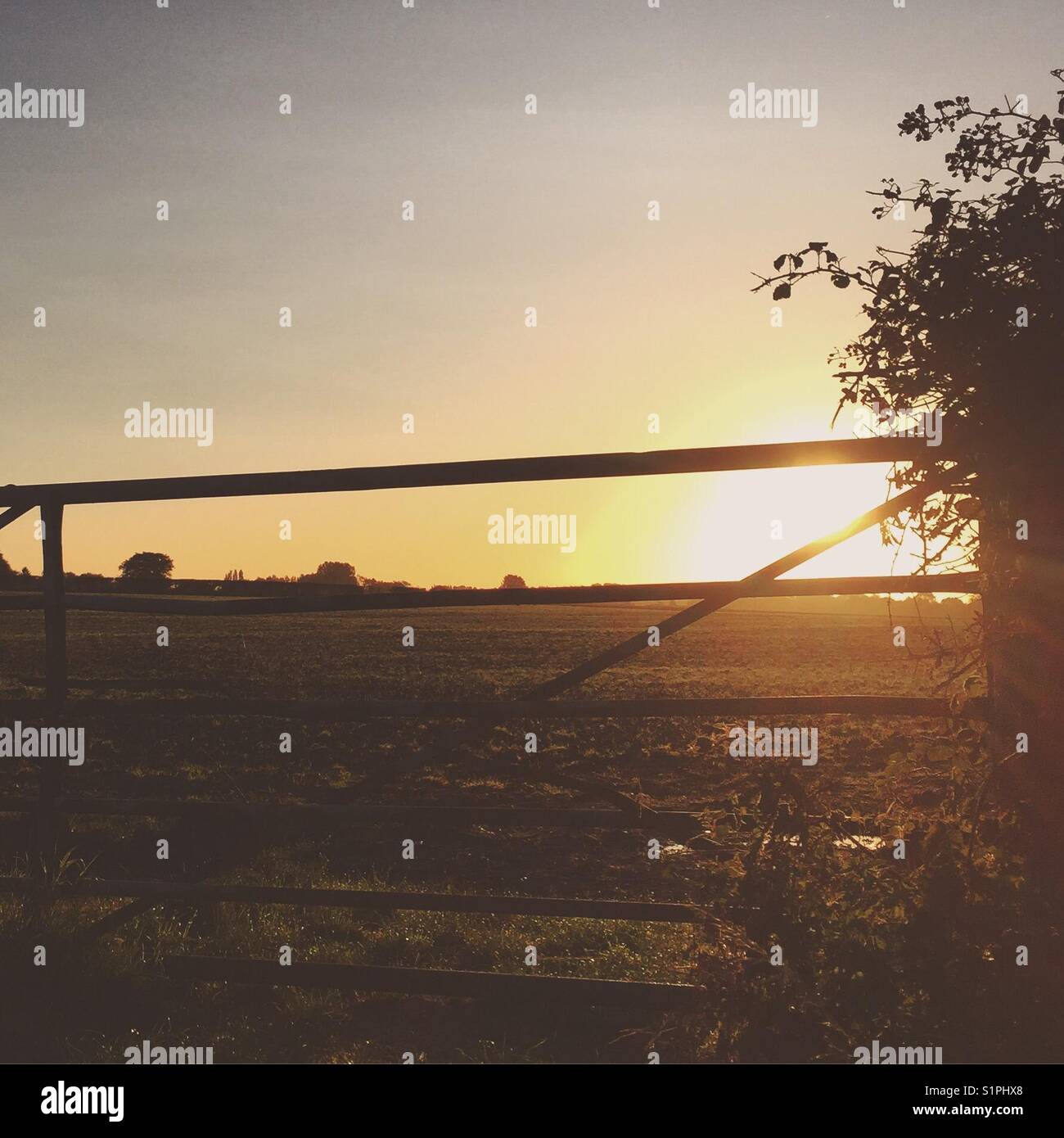 Sonnenaufgang in der Grafschaft Oxfordshire Stockfoto