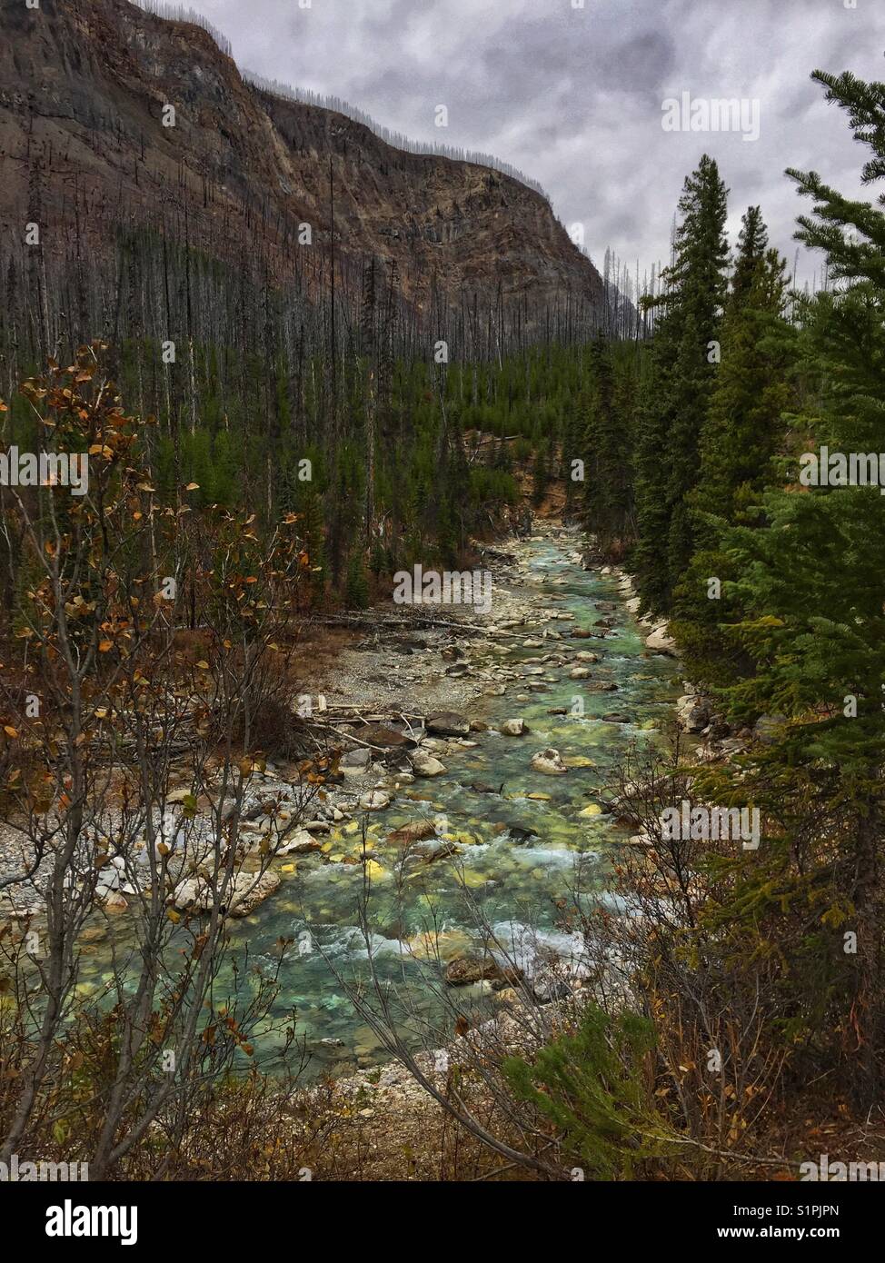 Kootenay River, British Columbia, - Smartphone-aufgenommenes Stockfoto