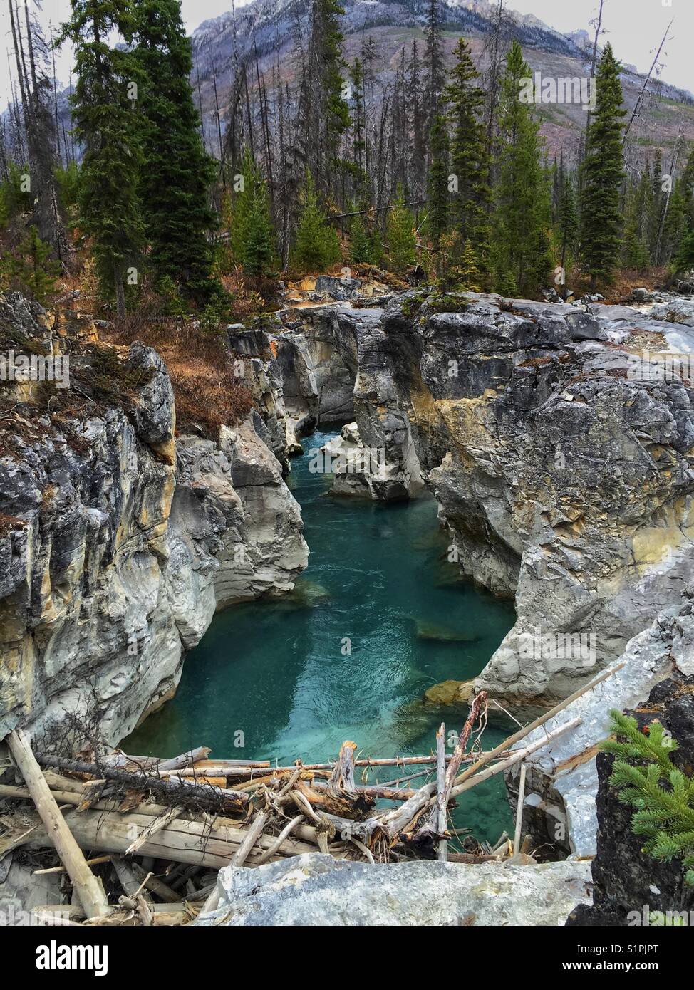 Marmor Canyon, Kootenay River, British Columbia - Smartphone-aufgenommenes Stockfoto