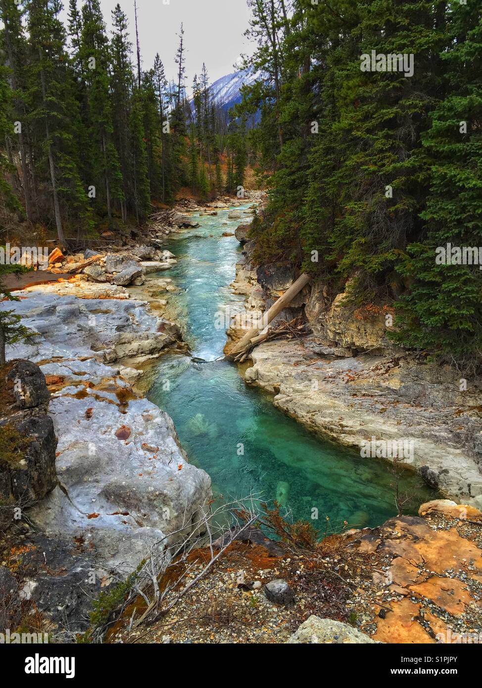 Marmor Canyon, Kootenay River, British Columbia - Smartphone-aufgenommenes Stockfoto
