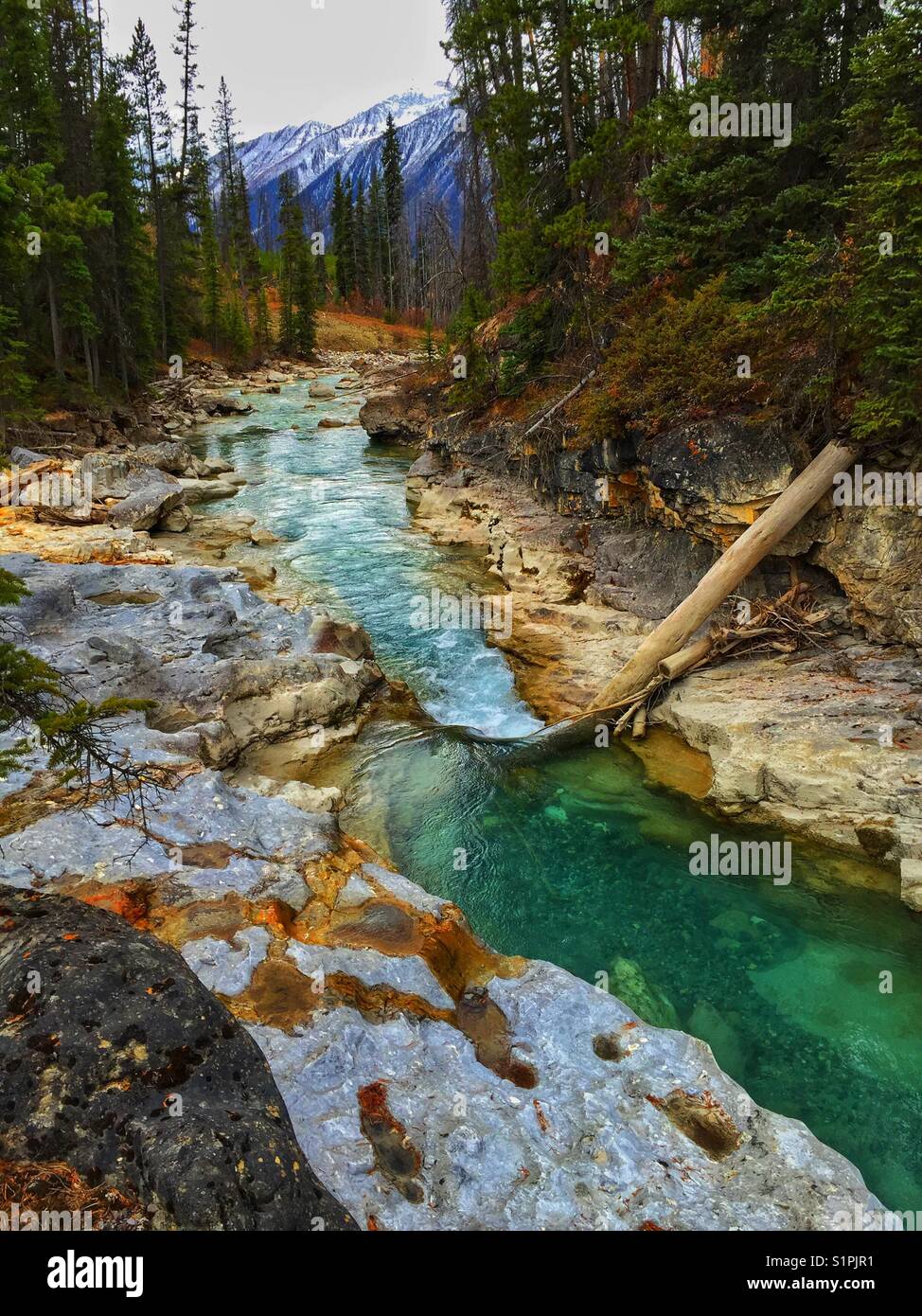 Marmor Canyon, Kootenay River, British Columbia - Smartphone-aufgenommenes Stockfoto