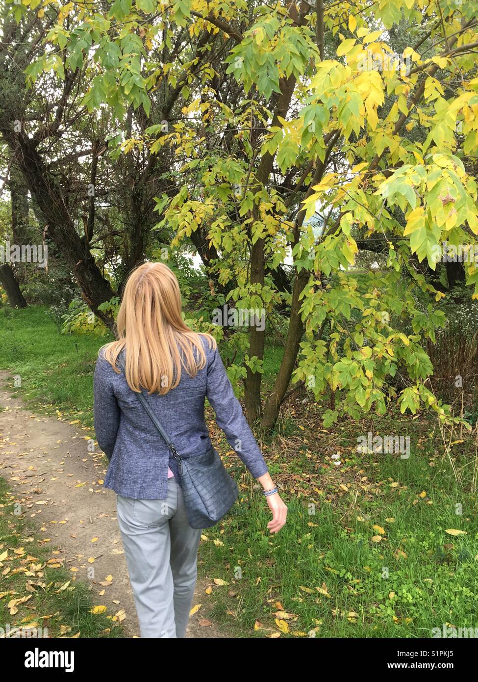 Spaziergang in der Natur - Smartphone-aufgenommenes Stockfoto