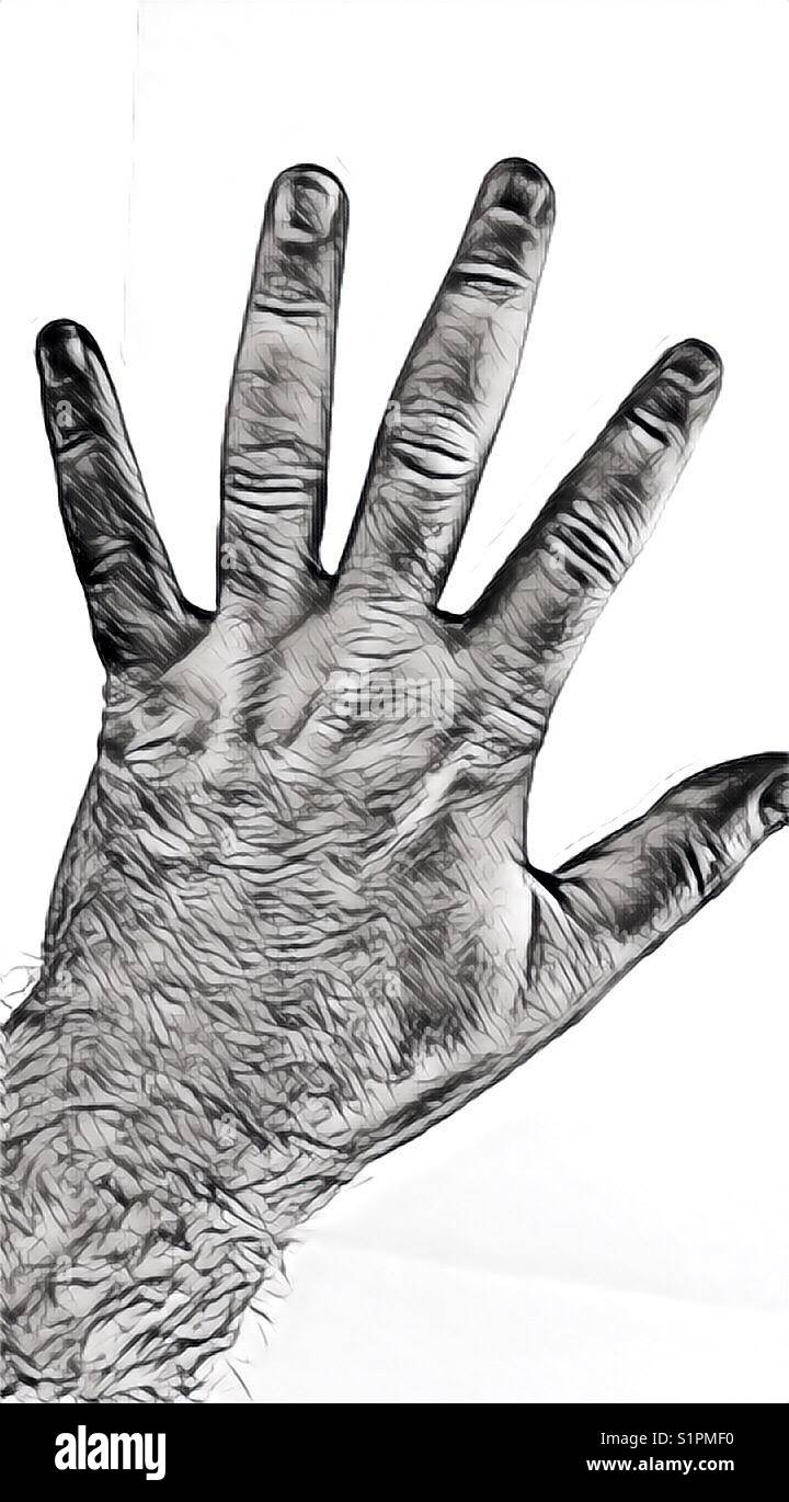 Die Hand des erwachsenen Mannes Stockfoto