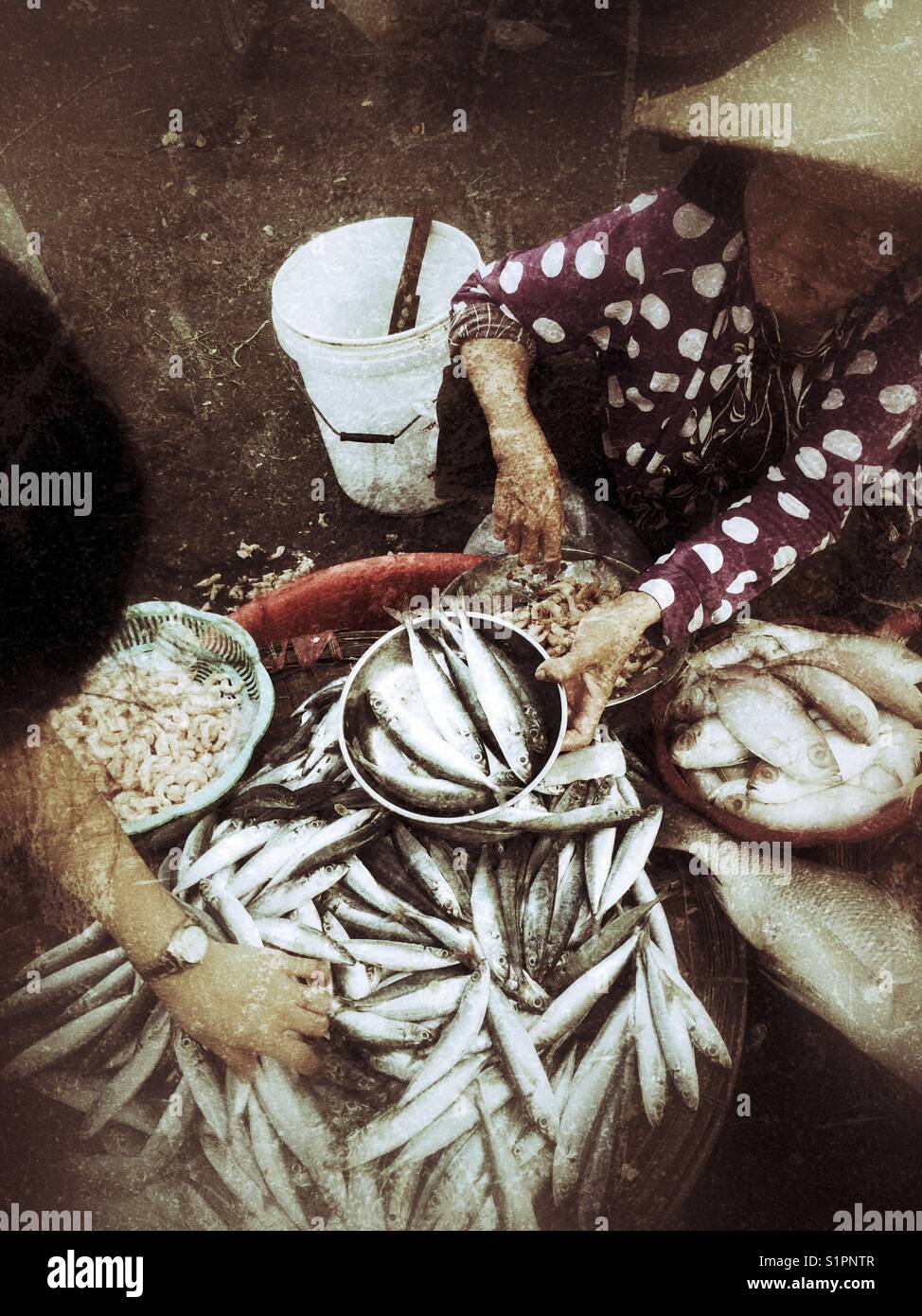 Eine alte Dame Verkauf von Fisch. Stockfoto