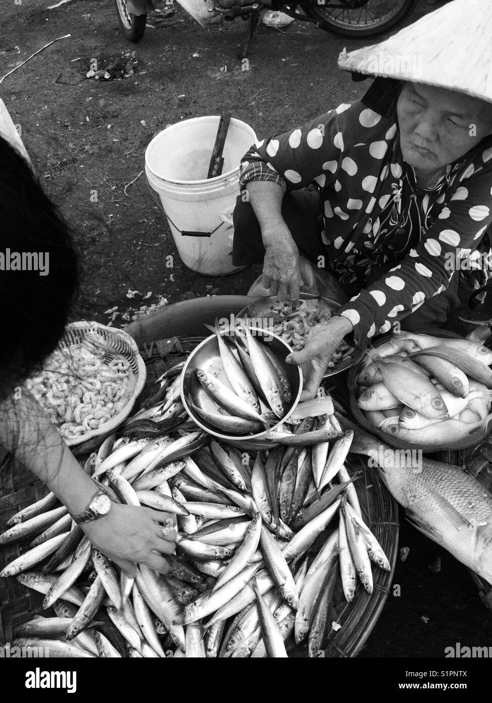 Kaufen Fisch an der Straße Fischmarkt. Stockfoto