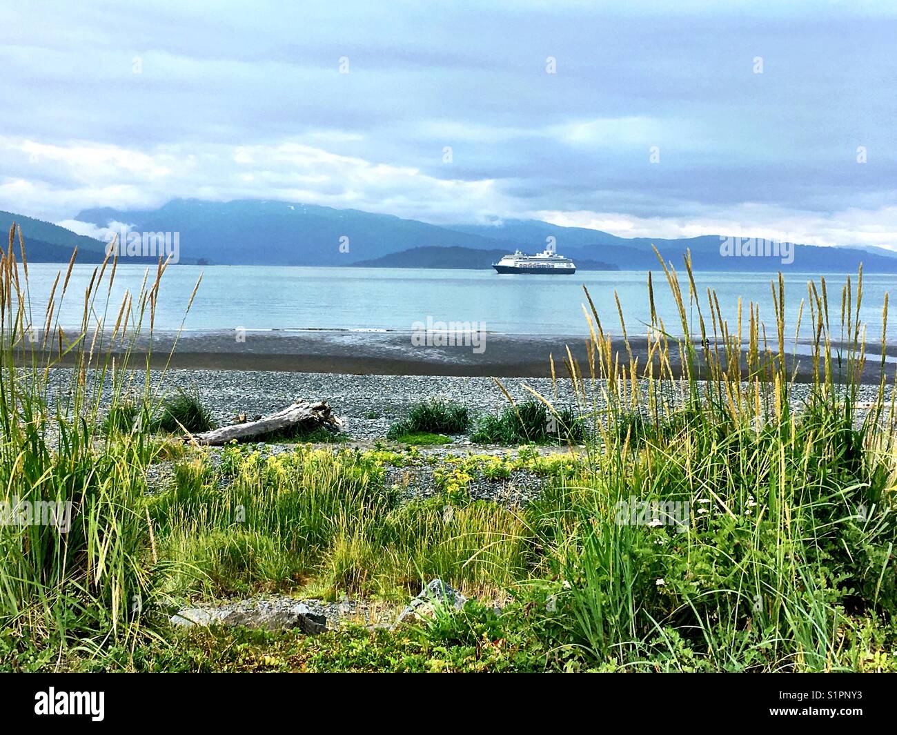 Ein schöner Sommertag beobachten das Kreuzfahrtschiff kommen in Homer, Alaska. Stockfoto