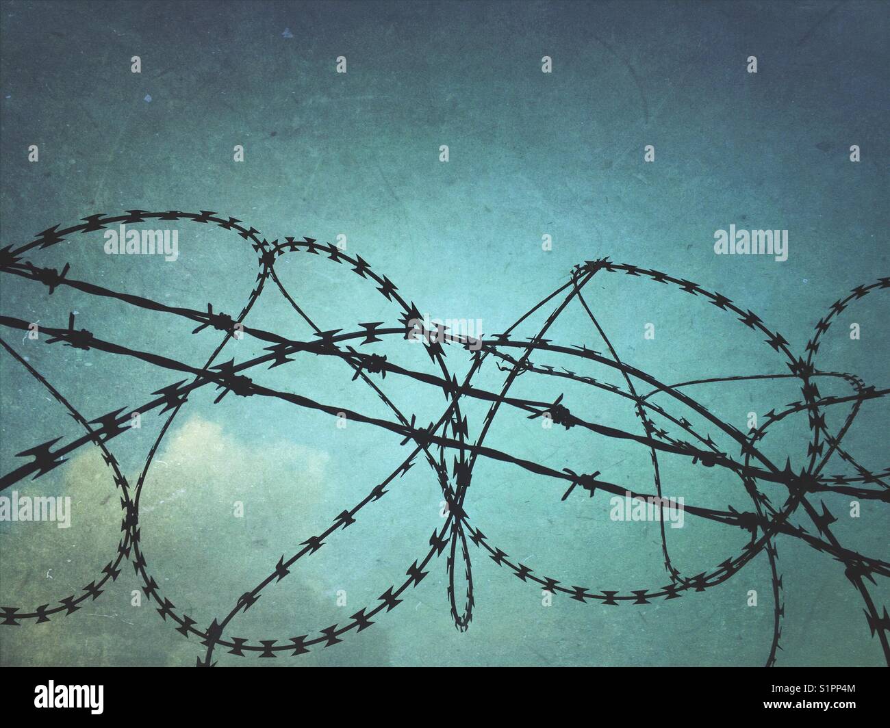 Stacheldraht hautnah - Smartphone-aufgenommenes Stockfoto