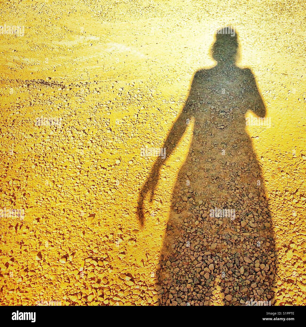 Schattenhafte Portrait auf gelben trockenen Boden Stockfoto