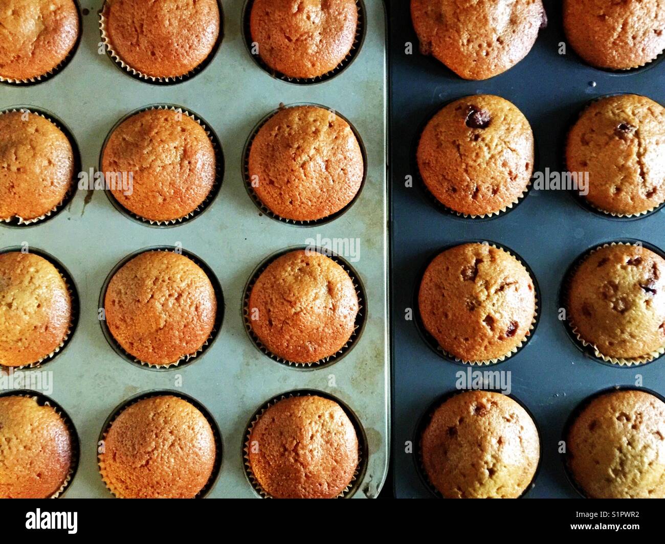 Hausgemachte Zucchini-Muffins in rustikalen Tabletts Stockfoto