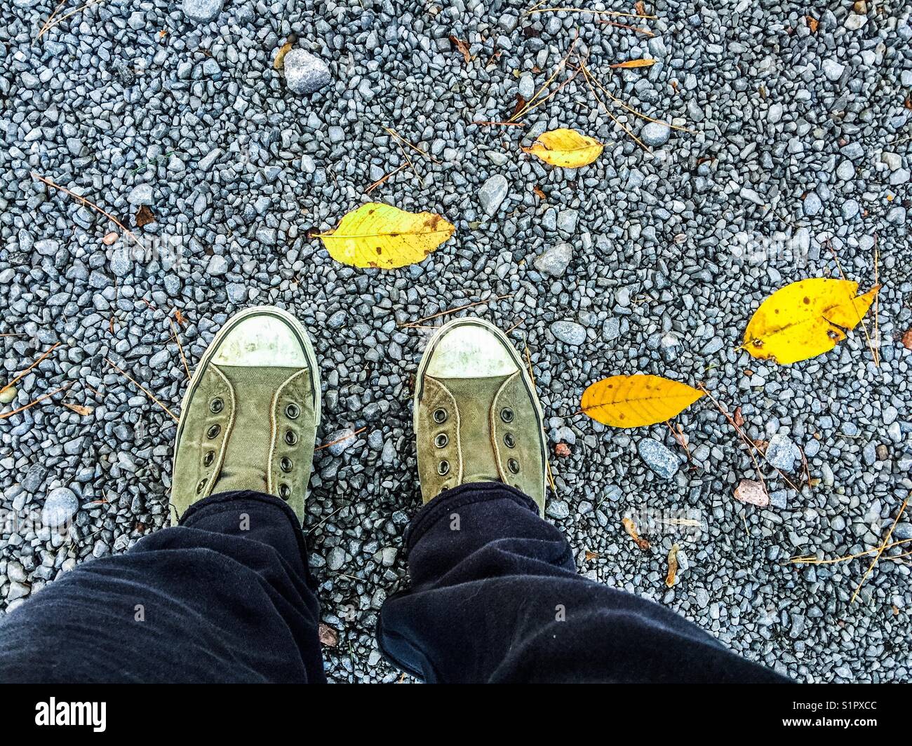 Birds Ansehen der Person tragen grüne vintage Sneakers stehend auf Schotter mit gelben Herbstlaub Stockfoto