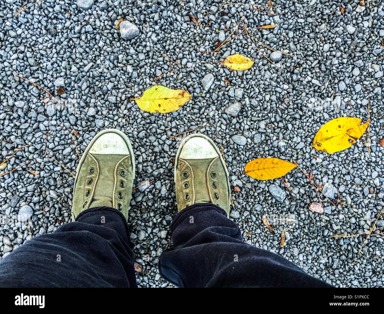 BirdsAugenansicht einer Person mit grünen Vintage-Sneakers, die auf Kies mit gelben Herbstblättern steht Stockfoto