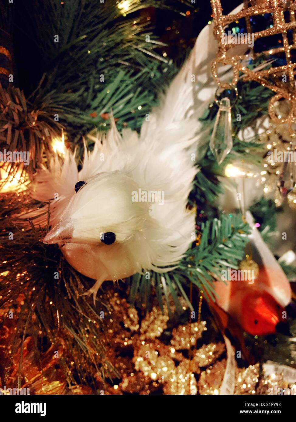 Gefiederte vogel Christmas Ornament im Baum, USA - Smartphone-aufgenommenes Stockfoto