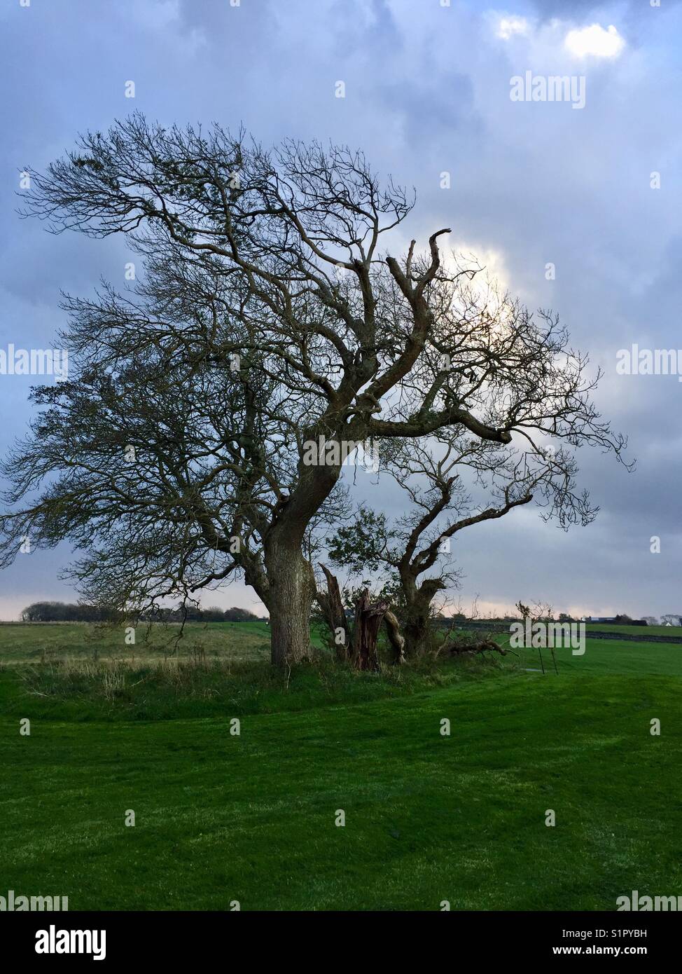 Sturm zieht auf - Smartphone-aufgenommenes Stockfoto
