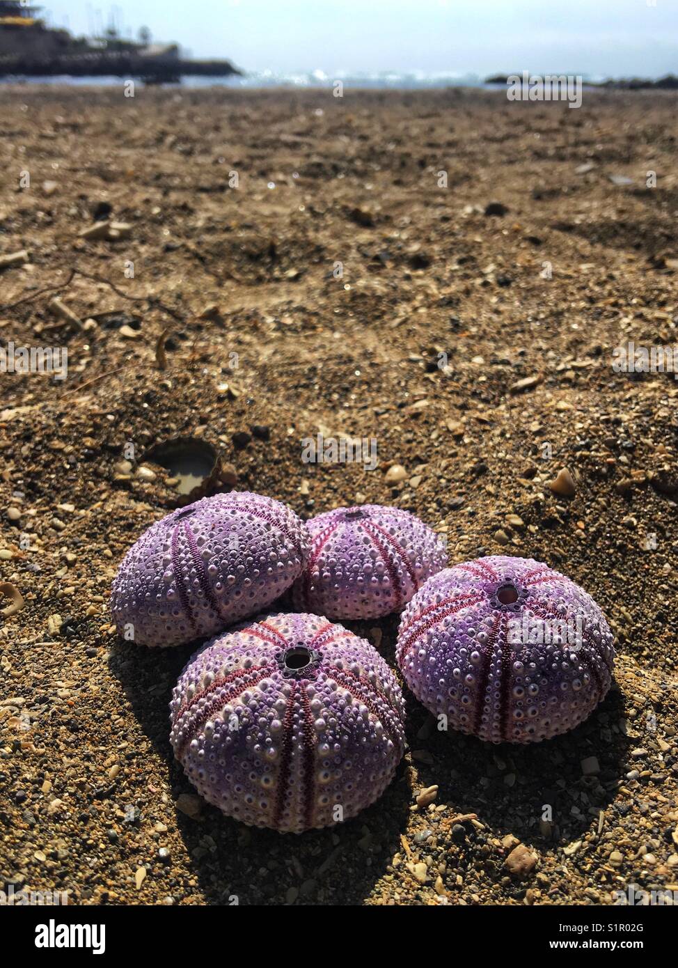 Tomada en la Ciudad de Antofagasta, Chile.se usó un teléfono iphone 6s Plus ya que al momento de la captura No contaba con una Cámara a mano. keine Gründung von FILTROS. solo se ajustó Brillo y Contraste. Stockfoto