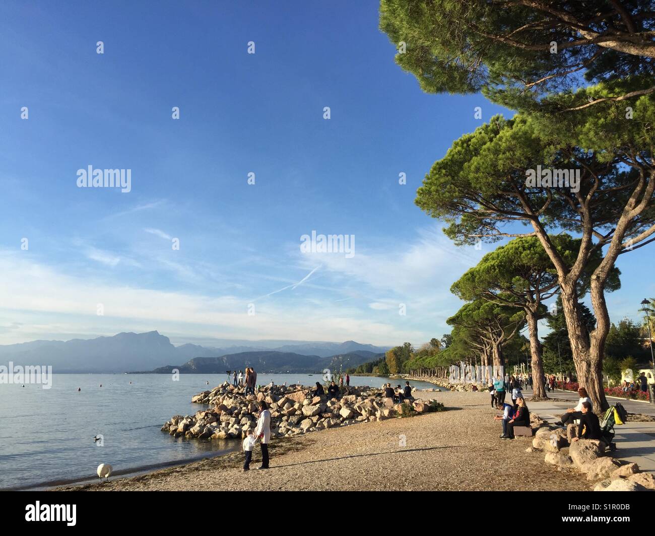 Lazise Venezia Italien Board Walk neben Hafen mit pedestriants unter blauem Himmel im Herbst, See Seite mit Pinien ein Gebirge in der Rückseite Stockfoto