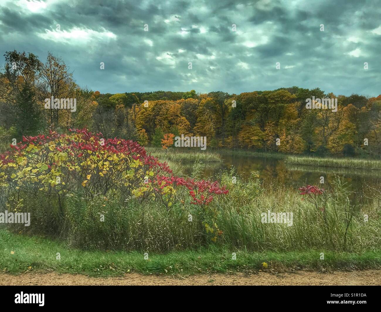 Herbst-Landschaft Stockfoto