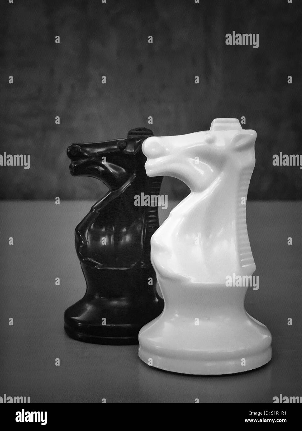 Schwarze und weiße Ritter (schachfiguren) Stockfoto