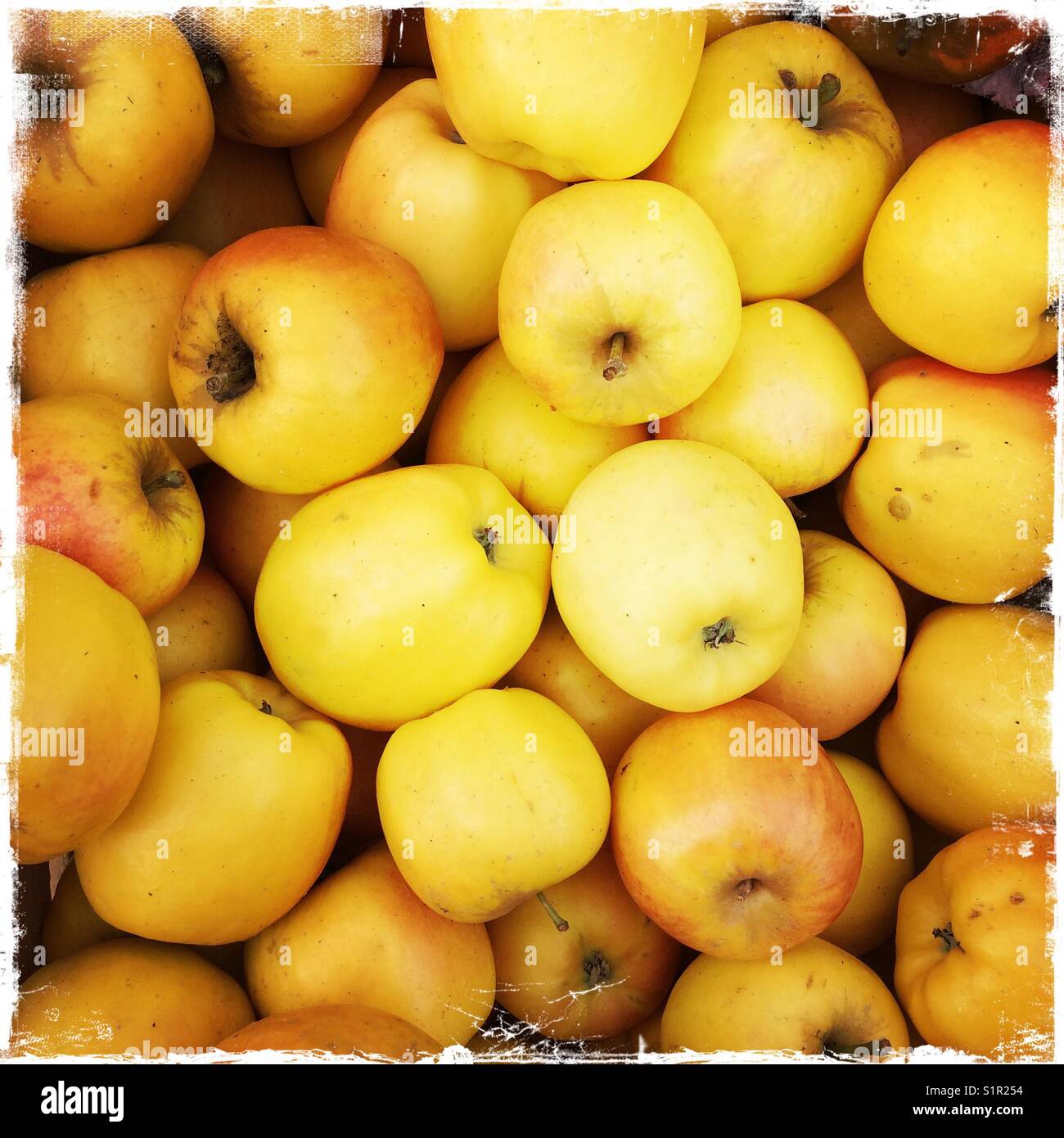 Schachtel mit Äpfeln zum Verkauf - Smartphone-aufgenommenes Stockfoto