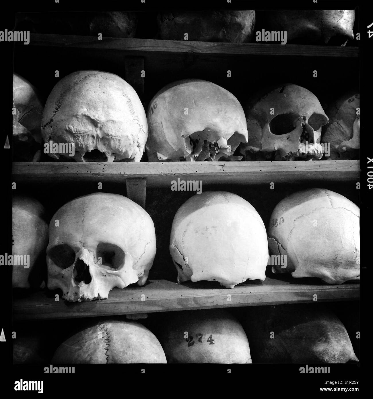 Menschlichen Schädeln in der Krypta von St. Leonard's Kirche in Hythe gestapelt auf Romney Marsh - Smartphone-aufgenommenes Stockfoto