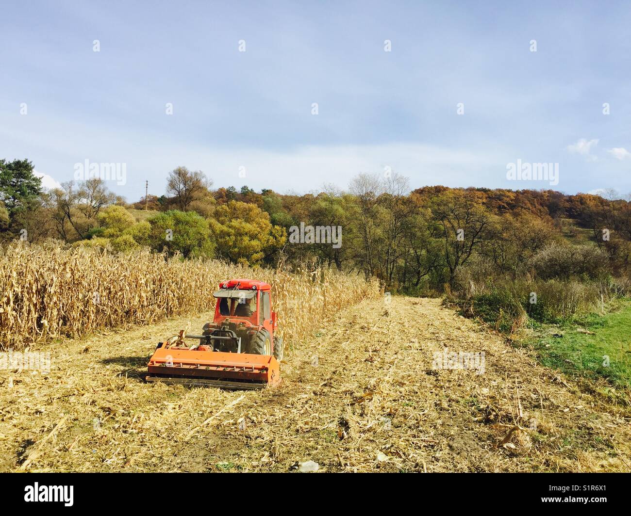 Traktor reinigen der Mais Felder mit einem schredder nach Erntegut  Stockfotografie - Alamy