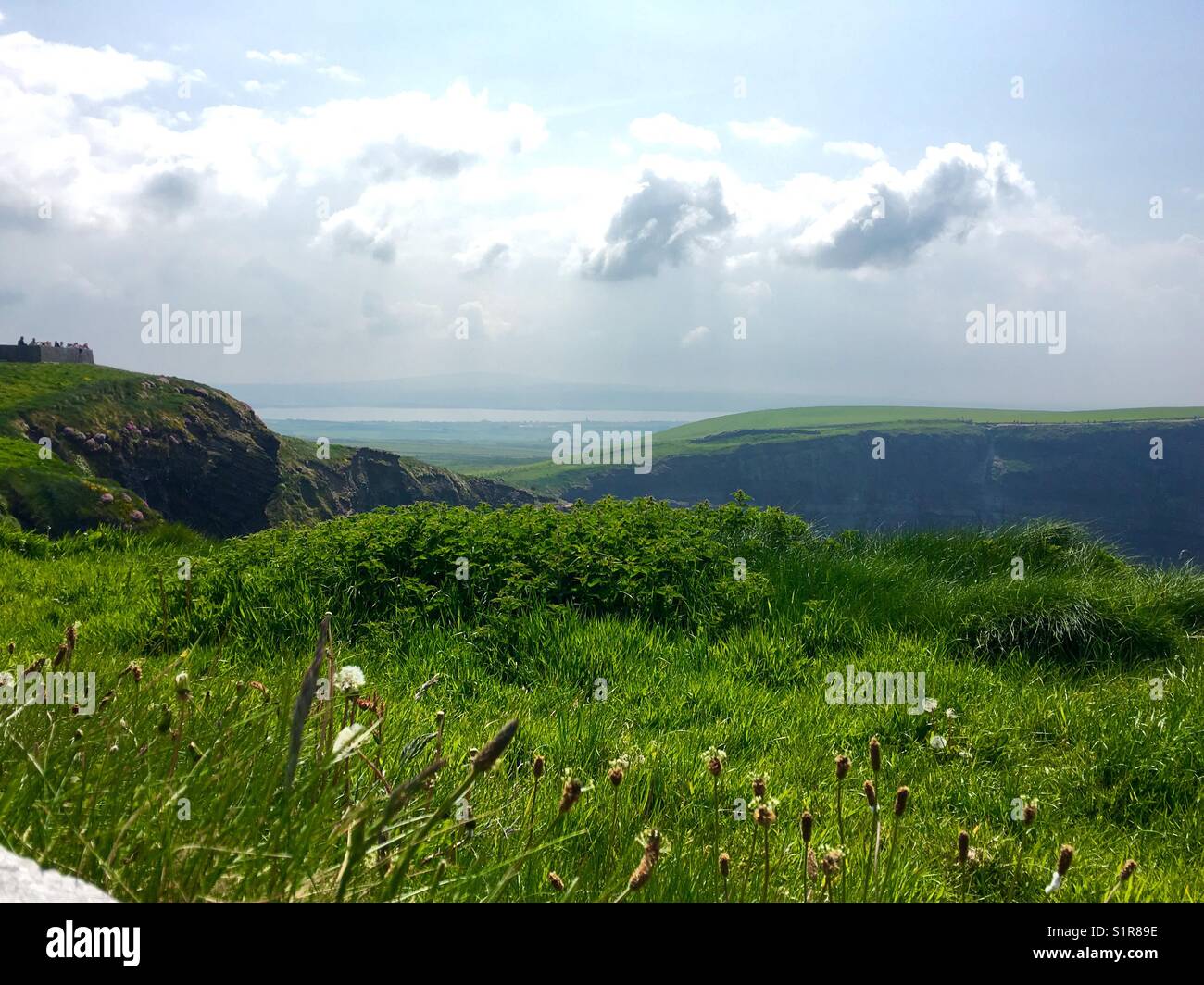 Endlose grüne Felder auf den Hügeln von Irland Stockfoto