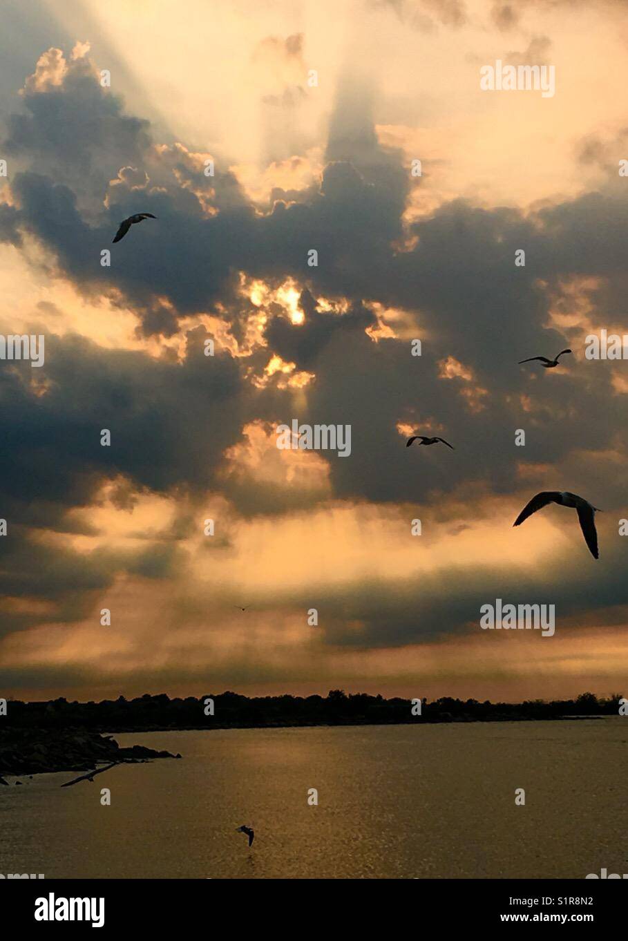 Sonnenuntergang am See. Gefühl, frei wie ein Vogel und das Leben zu leben wie ich kein Morgen. glücklich sein und das Armaturenbrett leben. Stockfoto