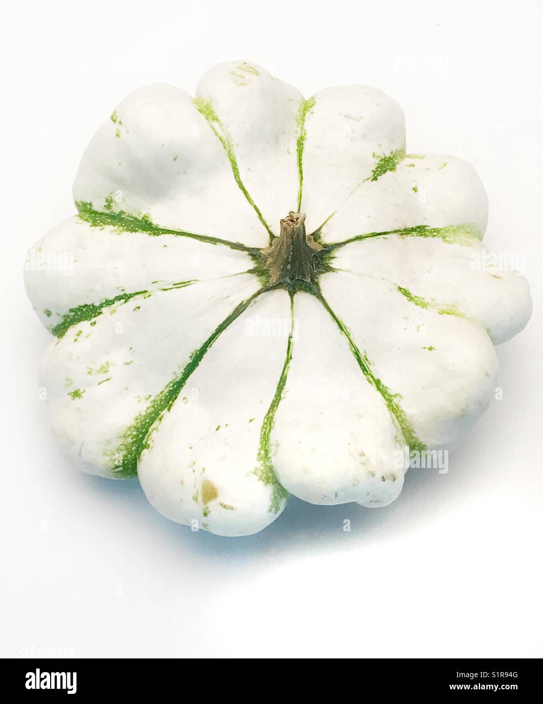 Ein Patty Pan squash - Smartphone-aufgenommenes Stockfoto