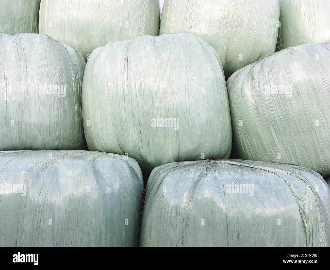 Gestapelte silage Heu Ballen in weißem Kunststoff Folie verpackt Stockfoto