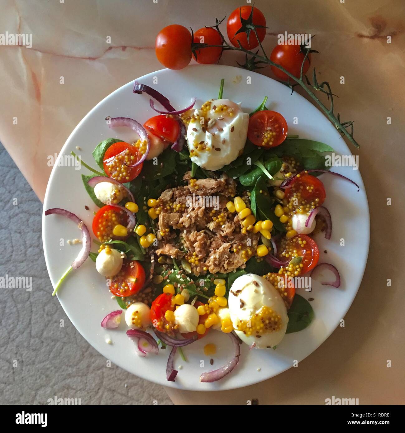 Thunfisch Salat für gesundes Mittagessen und Körper Stockfoto