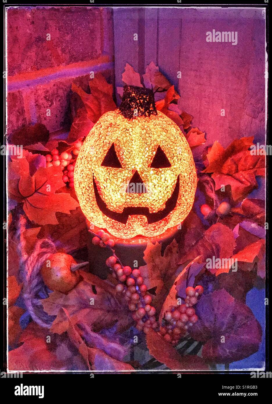 Glühender Halloween-Kürbis mit Herbstlaubenschmuck Stockfoto