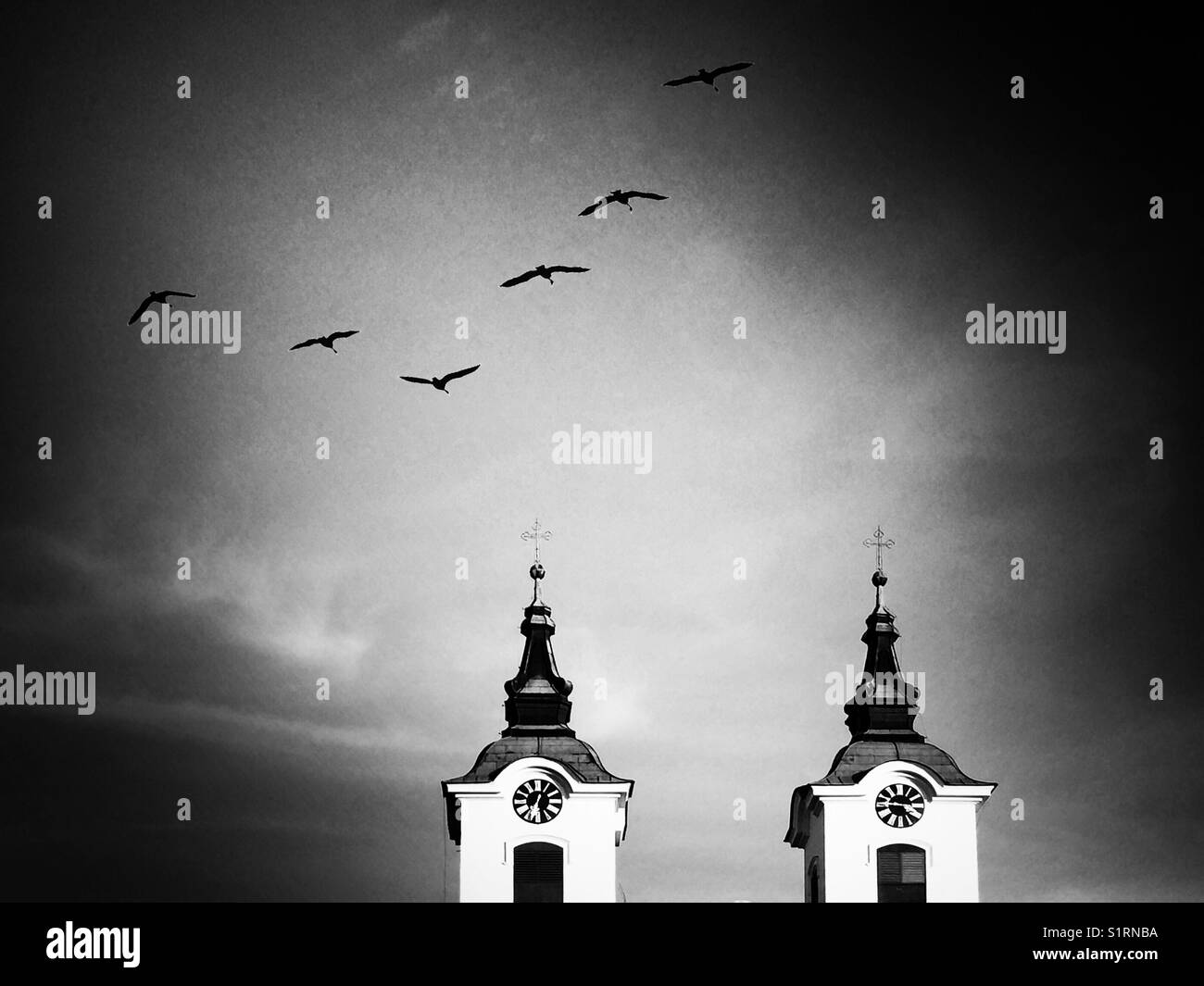 Vögel fliegen über die Türme der Kirchen Stockfoto