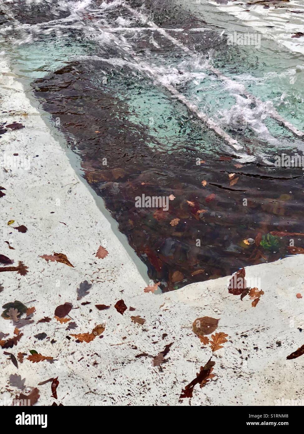 Blätter im Herbst in einem outdoor Brunnen - Smartphone-aufgenommenes Stockfoto