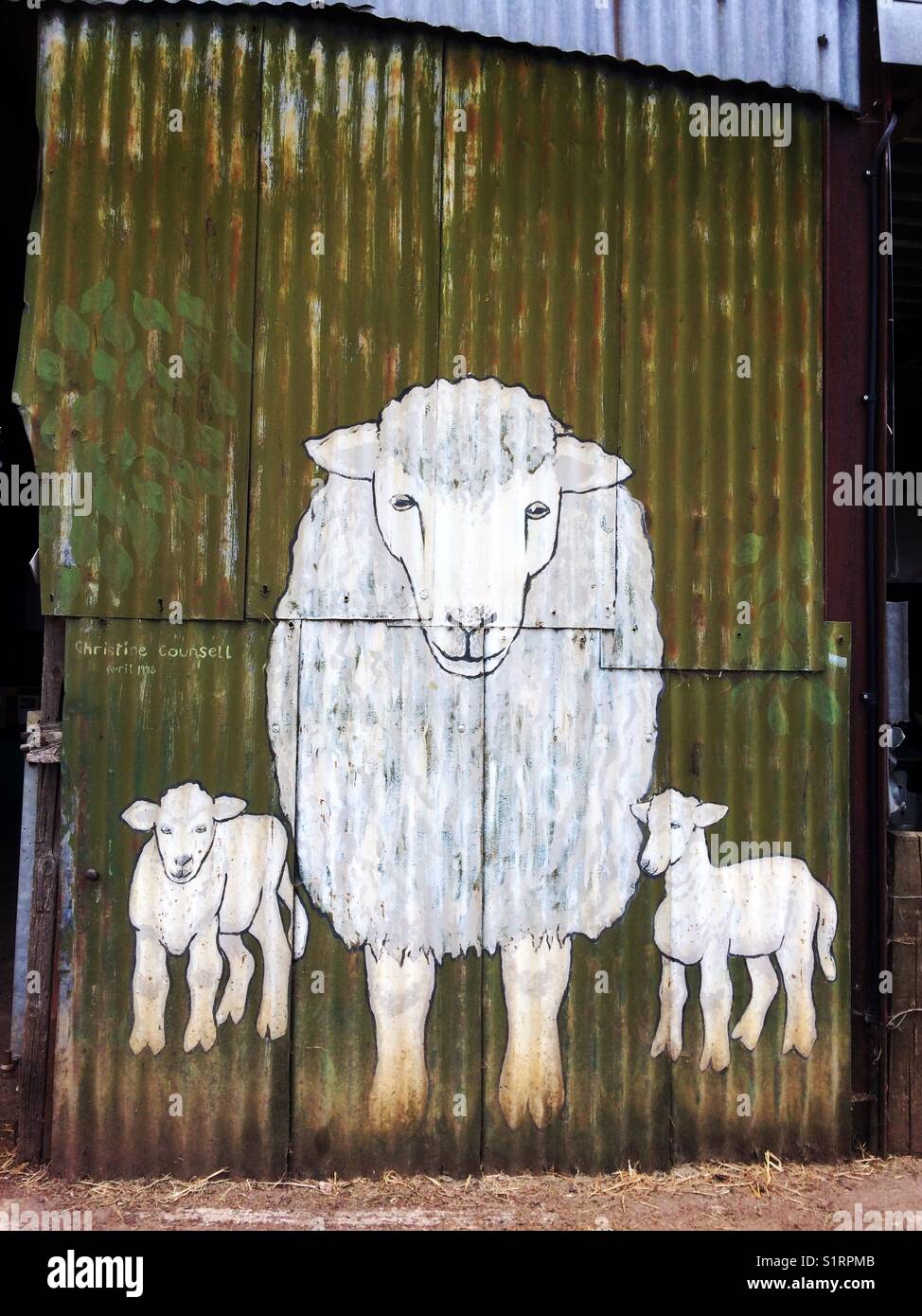 Bild eines Ewe & 2 Lämmer auf einem gewellten Wand - Smartphone-aufgenommenes Stockfoto