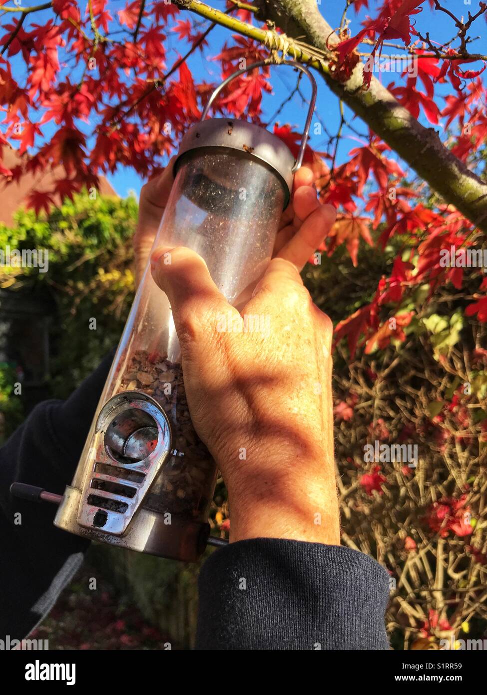 Nachfüllung des Futterfutters im Herbst Stockfoto