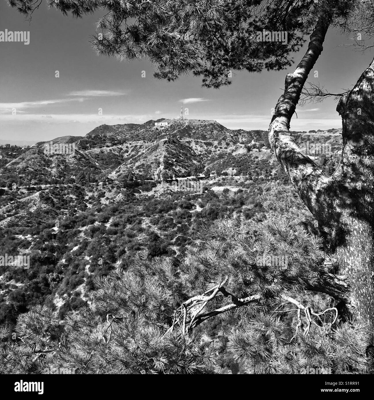 Hollywood Hills in Los Angeles, Kalifornien, USA Stockfoto