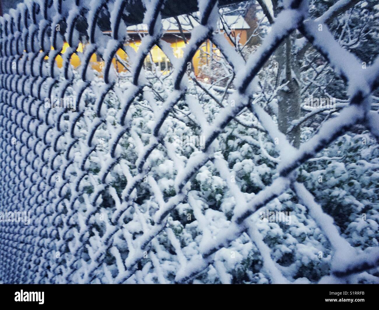 Der erste Schnee der Saison auf draht zaun gesammelt Stockfoto