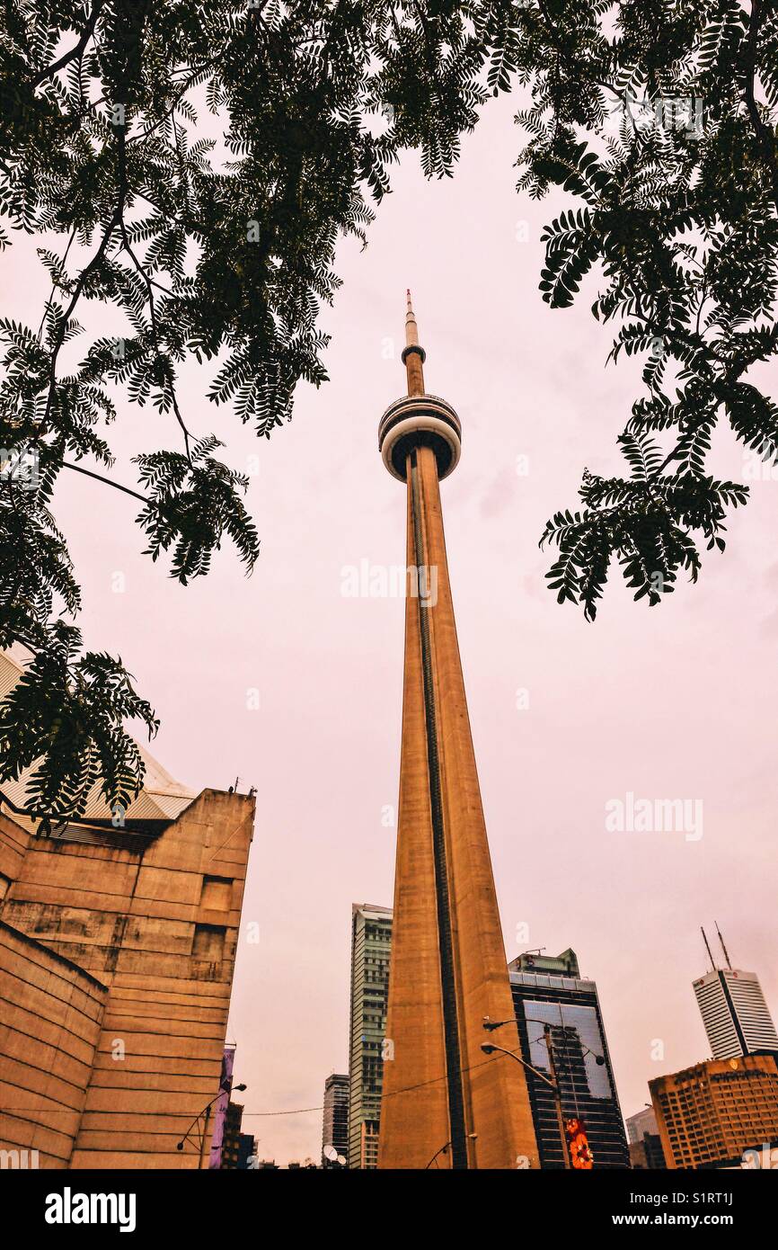 CN Tower in Toronto, Ontario, Kanada - Smartphone-aufgenommenes Stockfoto CN Tower in Toronto, Ontario, Kanada - Smartphone-aufgenommenes Stockfoto