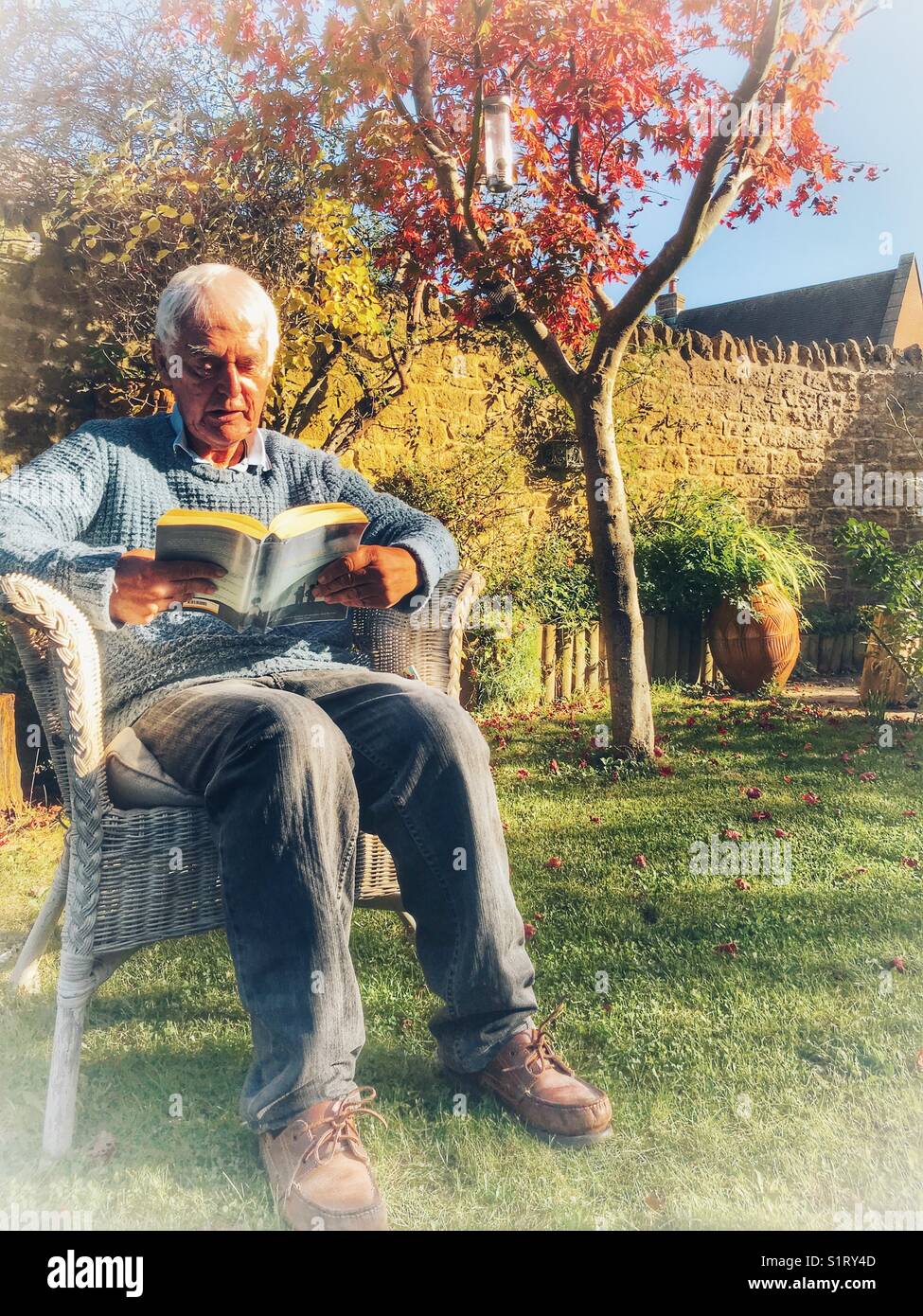 Senior Mann, der im Garten sitzt und ein Buch liest, in der Herbstsonne Stockfoto