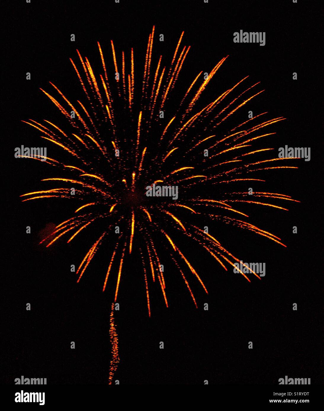 Eine erstaunliche Explosion eines orangen und gelben Feuerwerks. Sie sind ein fester Bestandteil der Bonfire Night Feiern am 5. November in Großbritannien und am Unabhängigkeitstag in den USA. Foto © COLIN HOSKINS. Stockfoto