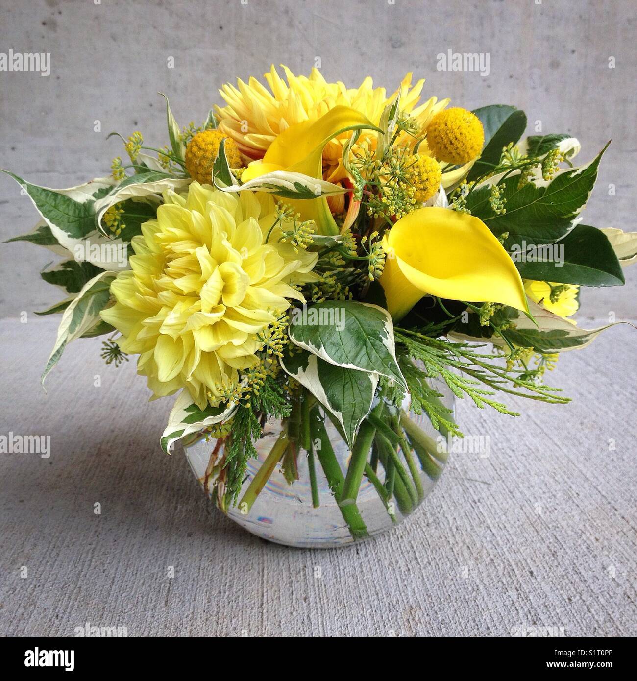Gelbe Blume Anordnung in Runde vase Stockfoto