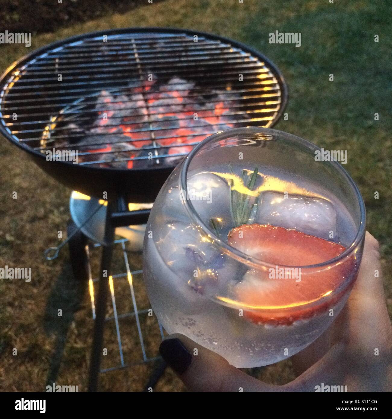 Gin Tonic Im Garten In Der Sonne Wahrend Der Wartezeit Fur Den