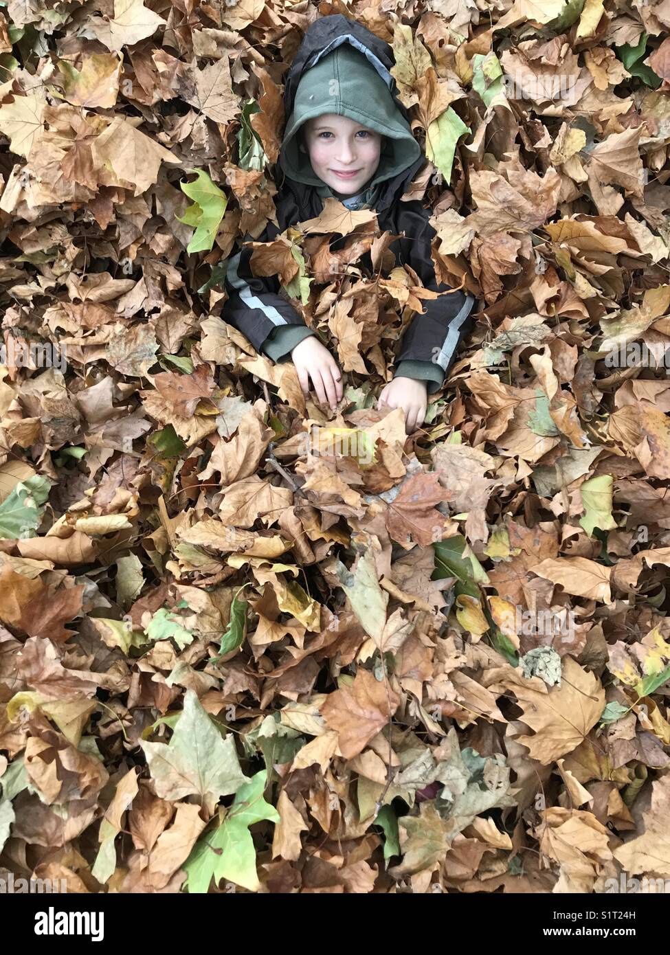 Kind im Herbst Blätter Stockfoto