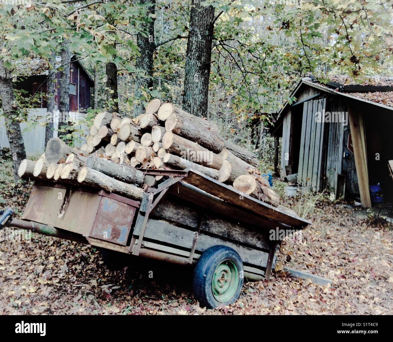 Anhängerladung von gehacktem Holz für Winterwärme Stockfoto