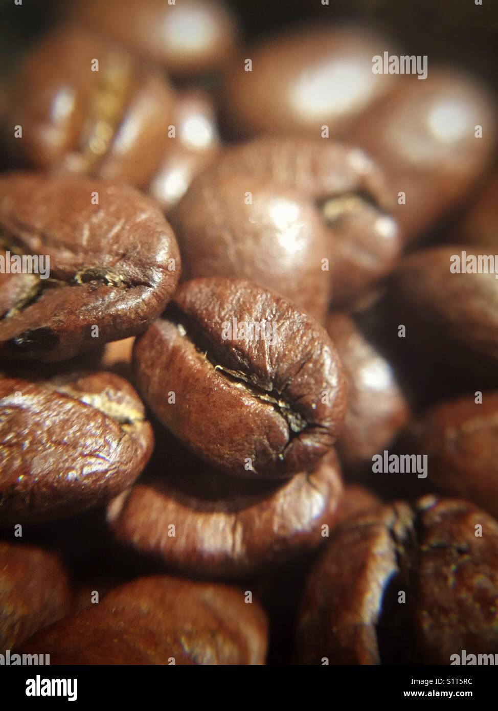 Kaffee Bohnen - Smartphone-aufgenommenes Stockfoto